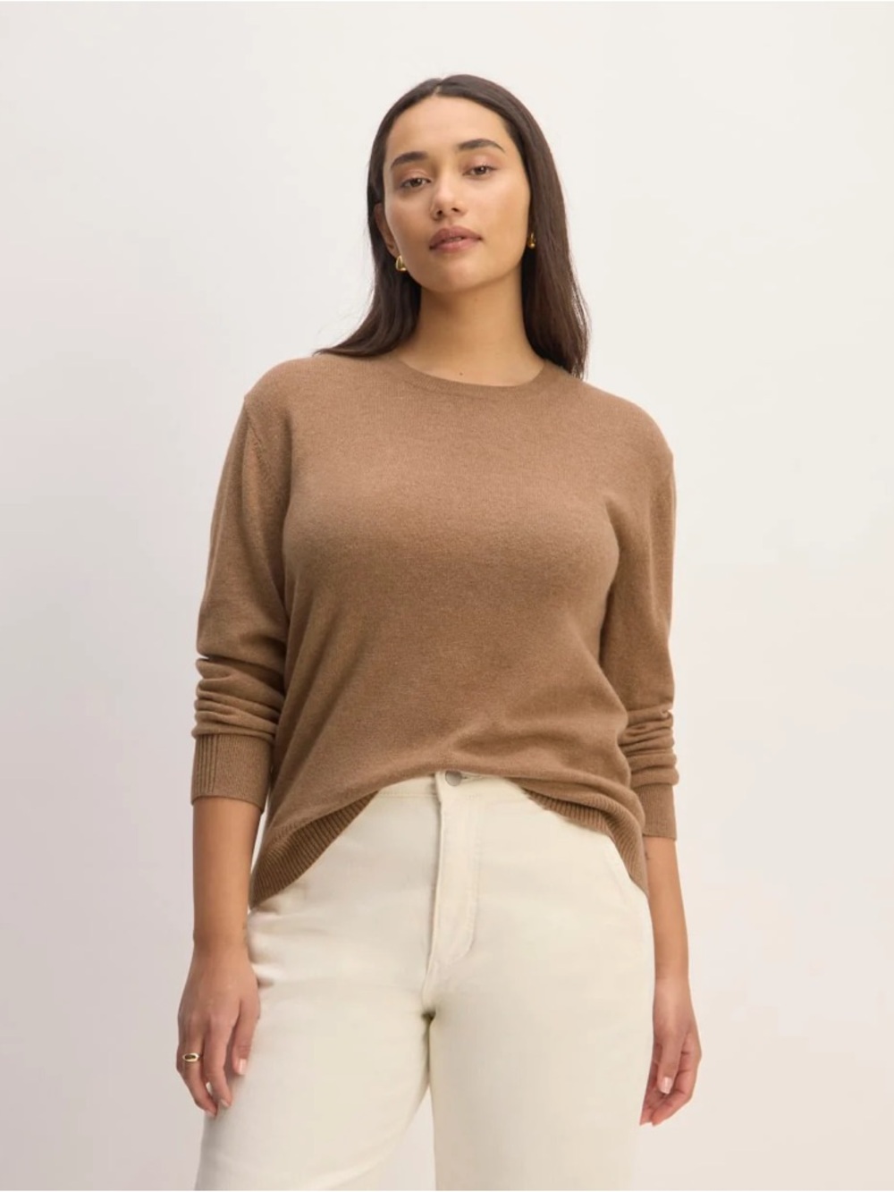 NWOT Everlane Cashmere Classic Crewneck sweater camel brown L